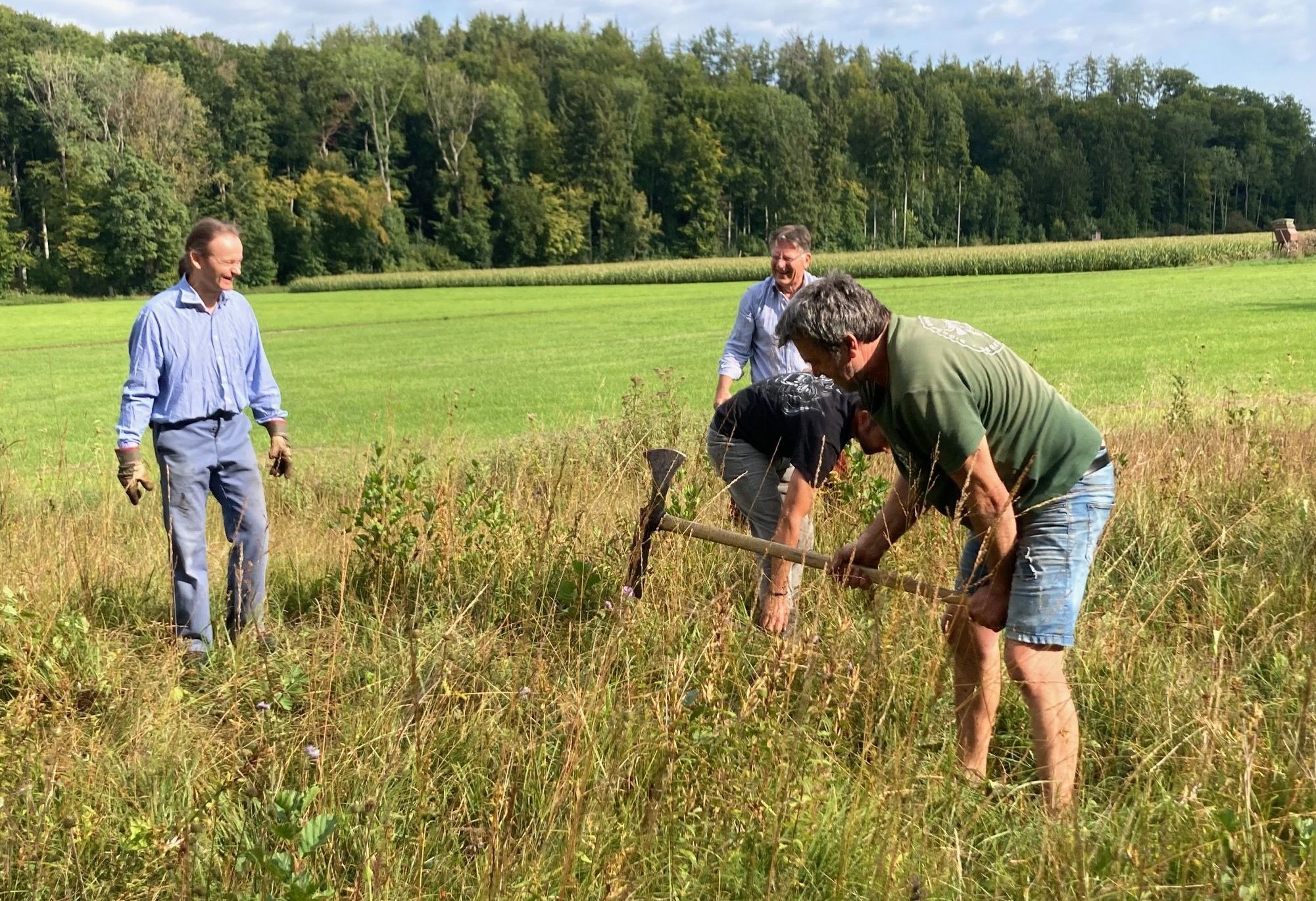 Foto BN OG Weßling Jungerlen aushacken im Hangmoor