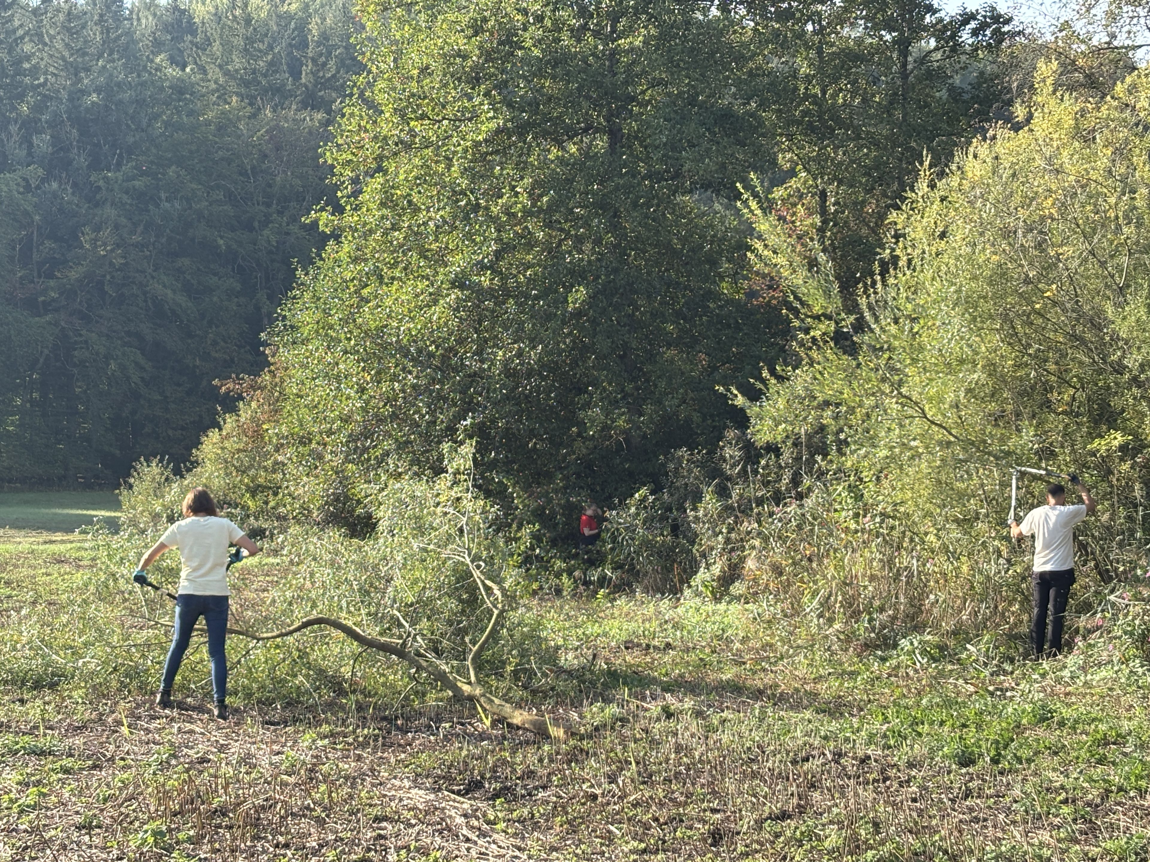 Zwei Menschen mit Astschere an einer Hecke